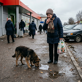 Потеряла просфоры, что делать? 