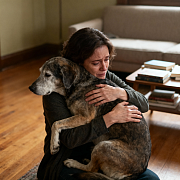 Является ли грехом усыпление старой, уже неходящей, собаки?